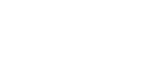 Bravacar